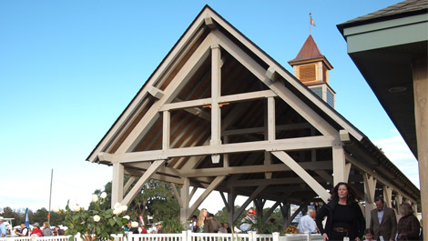 Timber_pavilion